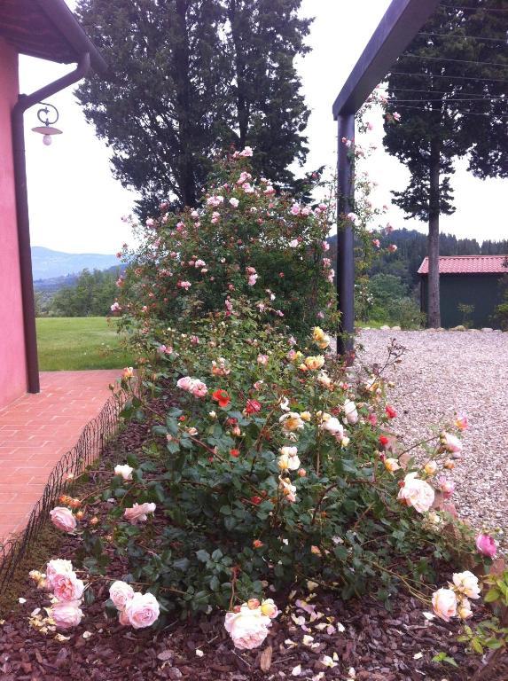 Villa Azienda Agrituristica Bellavista à Montespertoli Extérieur photo